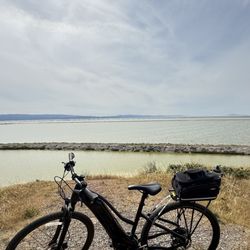 Dublin Cyclery - Rocking my new Top Peak Bag