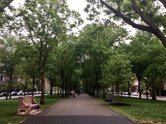 Commonwealth Avenue Mall by null