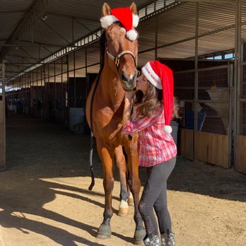 Imperial Equestrian Center - Horseback Riding Near Me - South Gate, California Imperial Equestrian Center - Horseback Riding Near Me - South Gate, California