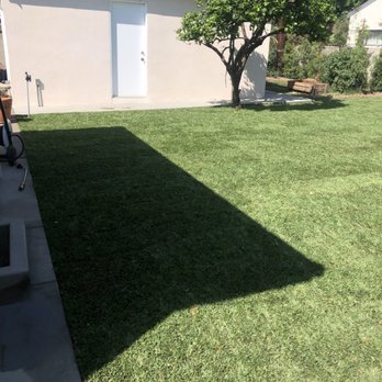 Immaculate Landscape - Irrigation Near Me Immaculate Landscape - Irrigation Near Me