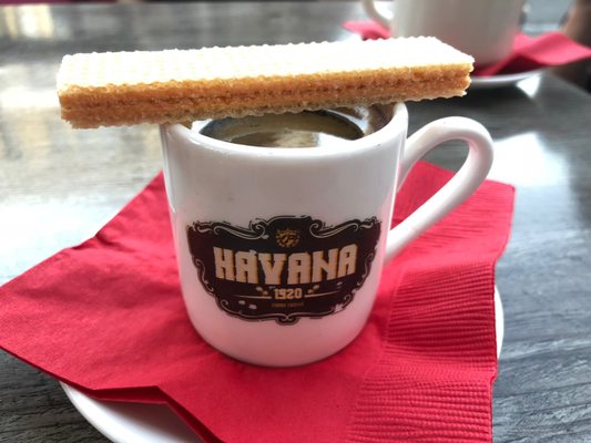 Havana 1920 by null