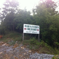 Ayres Orchard in Owen County--come pick your own!