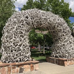 Jackson Hole Campground