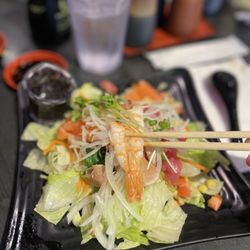 Kaisen Kaiten Sushi Bar - Sashimi salad