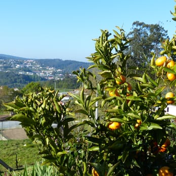 Casinha de Mozelos - From an upper terrace - Guest Houses Near Me - Paredes de Coura, 20