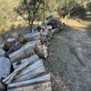 California Vipassana Center gift card