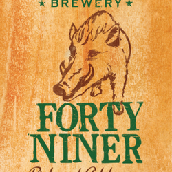 The Porterhouse - This is our most popular Ale