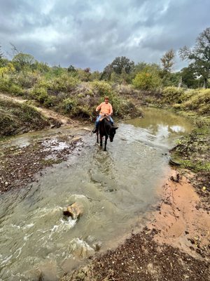 Widowmaker Trail Rides by null