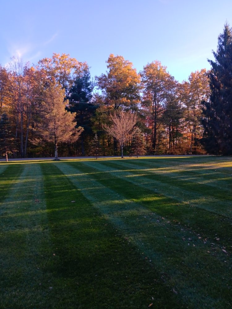 TOP NOTCH LAWN CARE Updated July 2024 Request a Quote Maine, New