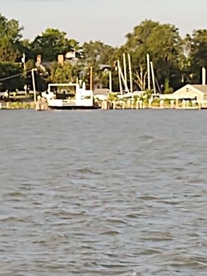 Oxford Bellevue Ferry by null