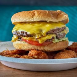 Ted's Restaurant - Double Cheeseburger / Fried Squash