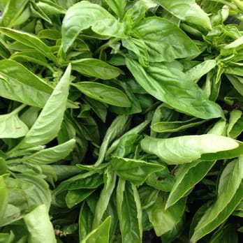 Eatwell Farm - Eatwell Farm's Fresh Basil - CSA Near Me - San Francisco, California