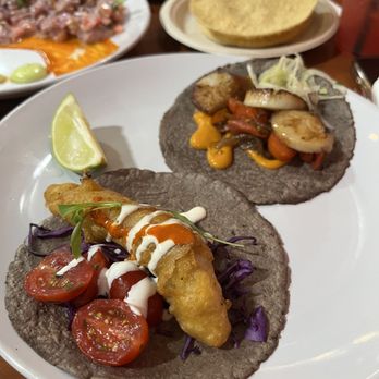 Holbox - Baja Shrimp Taco, Scallop Taco - Latin American Near Me - Los Angeles, California Holbox - Baja Shrimp Taco, Scallop Taco - Latin American Near Me - Los Angeles, California