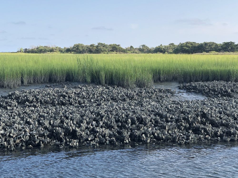 WATERBUG TOURS Updated June 2024 37 Photos & 11 Reviews 610 Front