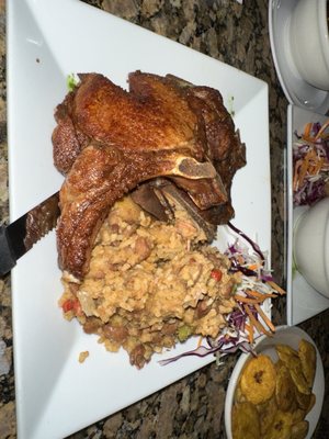 Tropical Sensation by null