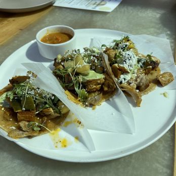 Coco Maya - Maya TKO Tacos - Caribbean Near Me - San Diego, California
