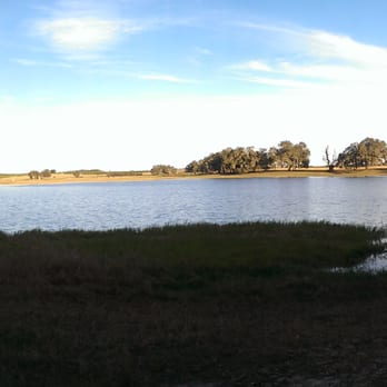 Horsespring Farm - Near the trails - Horse Boarding Near Me - Lake Wales, Florida Horsespring Farm - Near the trails - Horse Boarding Near Me - Lake Wales, Florida