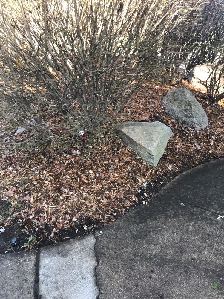 F J LAFONTAINE & SONS LANDSCAPING Updated June 2024 10 Photos