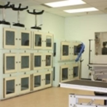 4 Paws Grooming - Photo - Pet Groomers Near Me - Calgary, Alberta 4 Paws Grooming - Photo - Pet Groomers Near Me - Calgary, Alberta