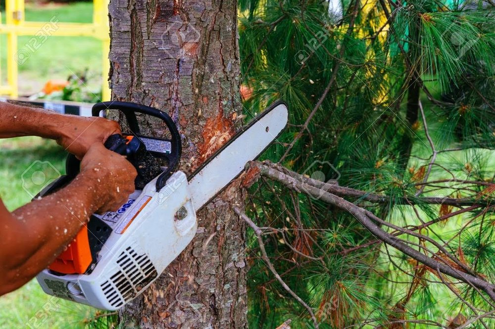 Perkins Property Maintenance - tree service in Tea, SD