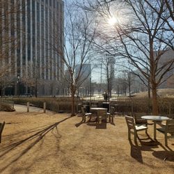 Looking Across Civic Garden