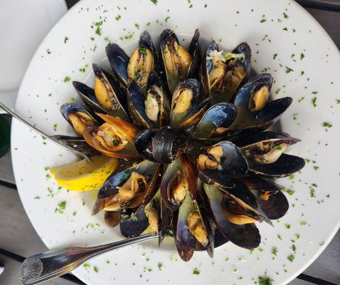 Sangiovese Ristorante by null