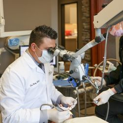 Apex Endodontics