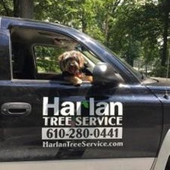 Harlan Tree Service - untitled - Tree Services Near Me - Exton, Pennsylvania