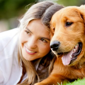 Animal Behavior College - Vocational & Technical School Near Me - Santa Clarita, California Animal Behavior College - Vocational & Technical School Near Me - Santa Clarita, California
