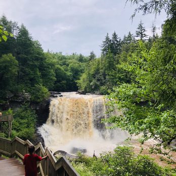 Blackwater Falls State Park - Falls boardwalk - Parks Near Me - Davis, West Virginia Blackwater Falls State Park - Falls boardwalk - Parks Near Me - Davis, West Virginia