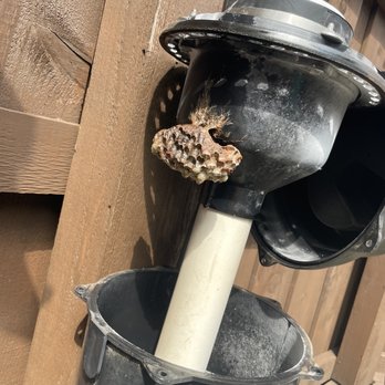All-Safe Pest & Termite - Wasp Nest Inside Spa Air-Blower - Pest Control Near Me - Plano, Texas