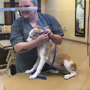 PetSmart - Pet Stores Near Me - El Cajon, California PetSmart - Pet Stores Near Me - El Cajon, California