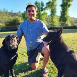ARG Handyman Solutions - And he loves his rescues!