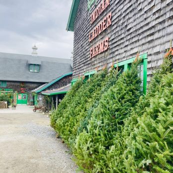 Indian Ladder Farms - Christmas trees for sale - Bakeries Near Me - Voorheesville, New York Indian Ladder Farms - Christmas trees for sale - Bakeries Near Me - Voorheesville, New York