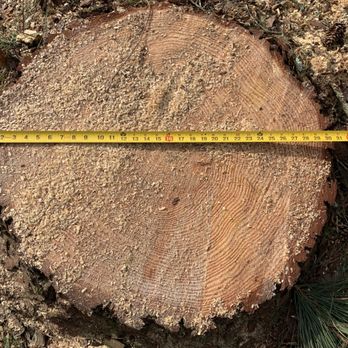 Tree Amigos Midwest - Tree Services Near Me Tree Amigos Midwest - Tree Services Near Me