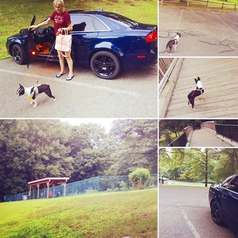 Kakiat County Park - Inka scoping out her competition. photo lower left is the dog pen; there are a bunch of trails. - Dog Parks Near Me - Suffern, New York