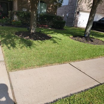 Full Service Landscaping - a sidewalk and a tree - Lawn Services Near Me - Houston, Texas