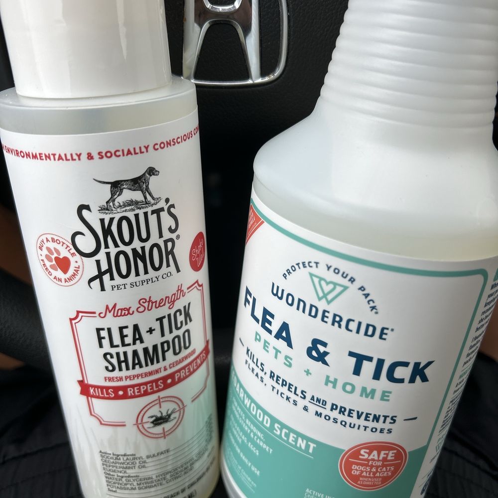 Safe and effective flea defense Safe and effective flea defense