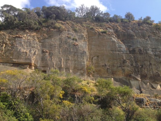 Sea Cliff Bridge by null