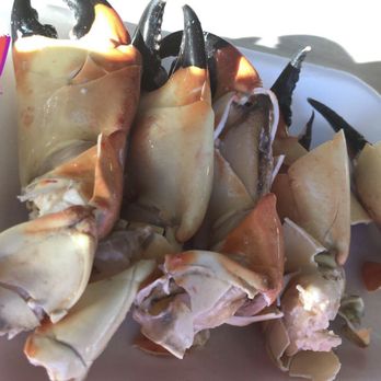 The Mar Bar - Must have Stone crab - Wine Bars Near Me - Tavernier, Florida The Mar Bar - Must have Stone crab - Wine Bars Near Me - Tavernier, Florida