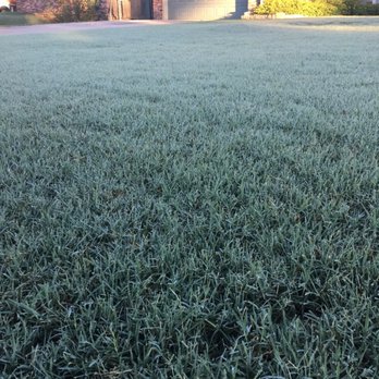 Bermuda Escapes - Beautiful lawn after a full year of service - Lawn Services Near Me Bermuda Escapes - Beautiful lawn after a full year of service - Lawn Services Near Me