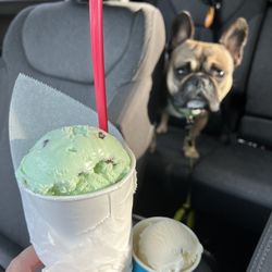 The Bridge Creamery & Soda Shop - Mint choco milkshake and a vanilla doggie cup.