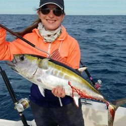 All In Fishing Charters