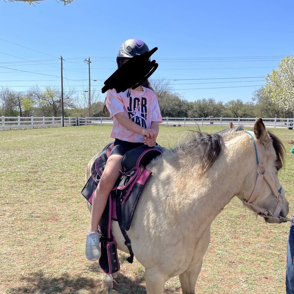 Melanie's Pony Parties - Bounce House Rentals Near Me - Temple, Texas Melanie's Pony Parties - Bounce House Rentals Near Me - Temple, Texas
