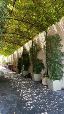 Panzanella Ristorante by null