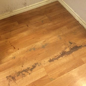 Royal Maid - Total waste of money - Home Cleaning Near Me Royal Maid - Total waste of money - Home Cleaning Near Me