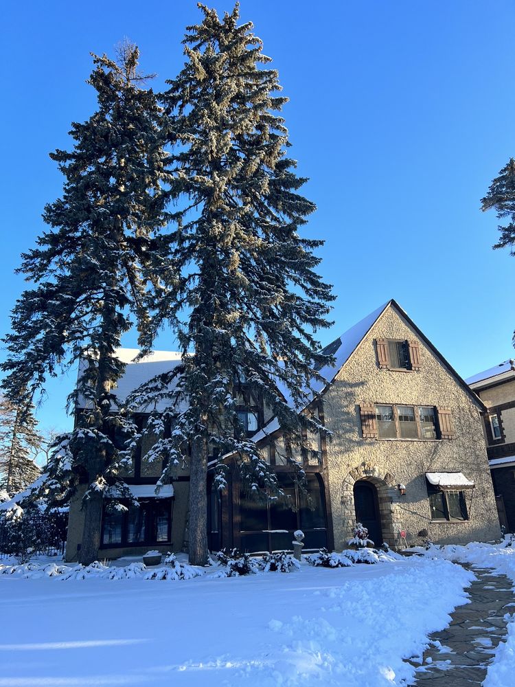 Urban Foresters - tree service in St Paul, MN