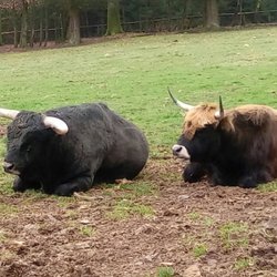 Wild und Wanderpark