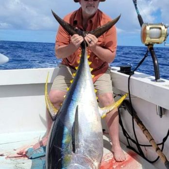 Grand Slam - Yellowfin tuna - Fishing Near Me - Haleiwa, Hawaii Grand Slam - Yellowfin tuna - Fishing Near Me - Haleiwa, Hawaii
