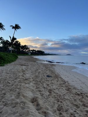 Mana Kai Maui by null